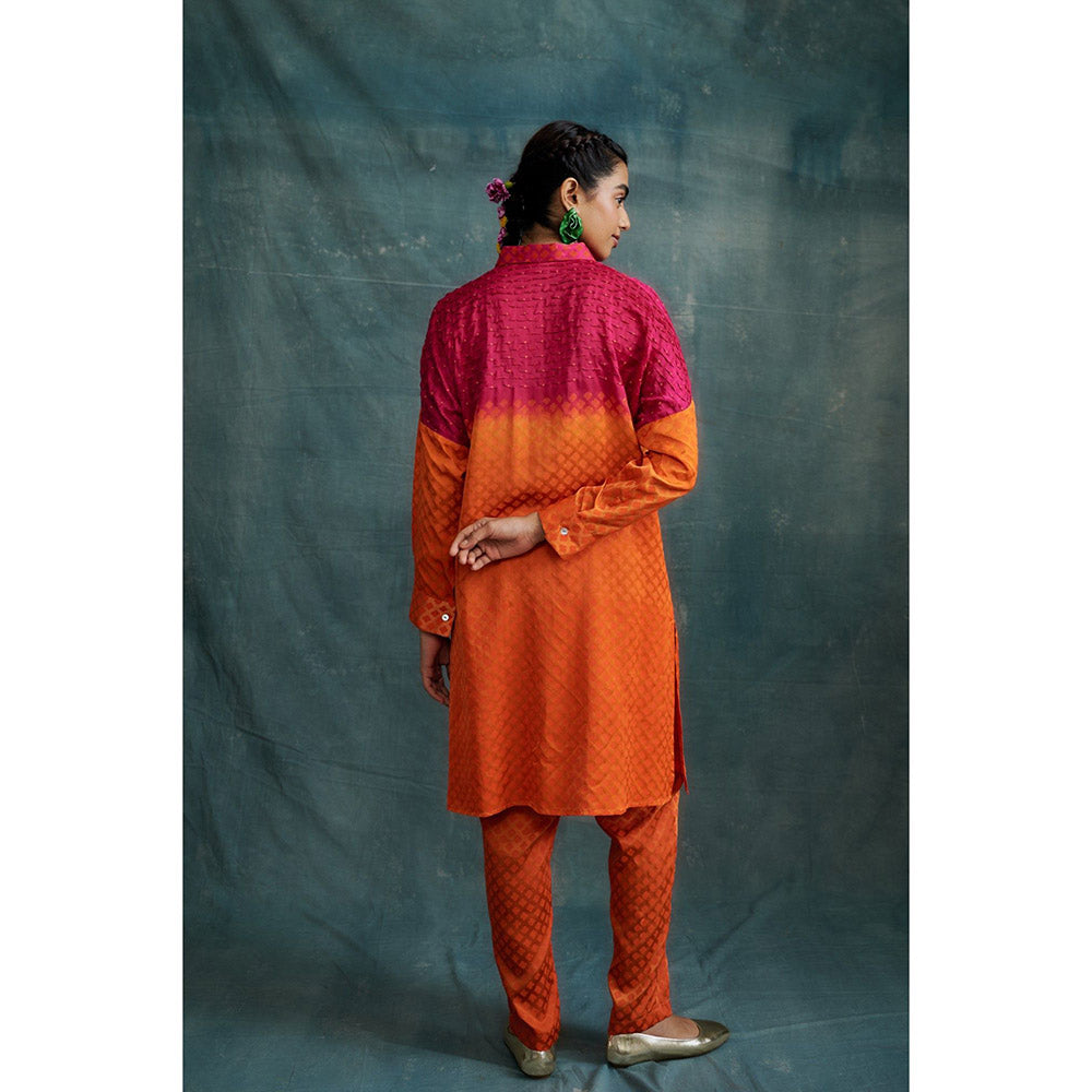 Krishna Mehta Shaded Embroidered Block Printed Shirt Style Kurta and Pant (Set of 2)