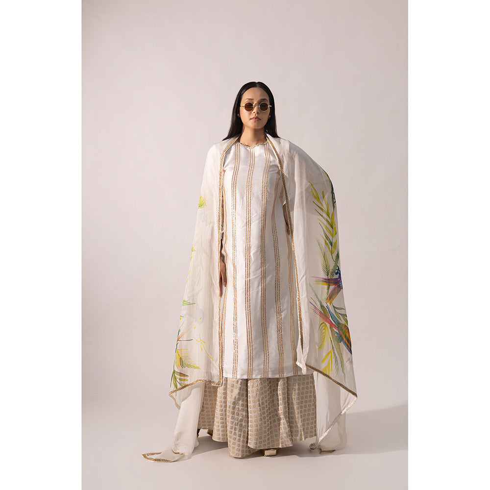 Kriti Bapna White Gota Line Kurta with Palazzo and Dupatta (Set of 3)