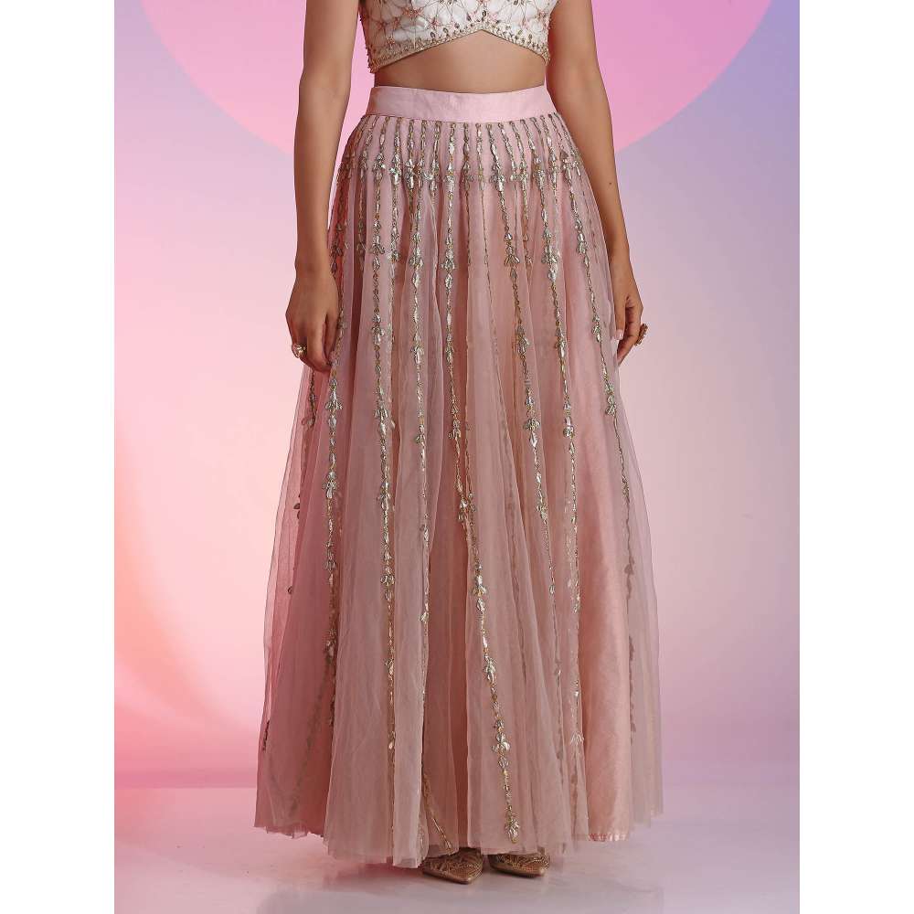 Kudi Pataka Designs Hansika Pink Classic Lehenga With Choli & Dupatta (Set of 3)