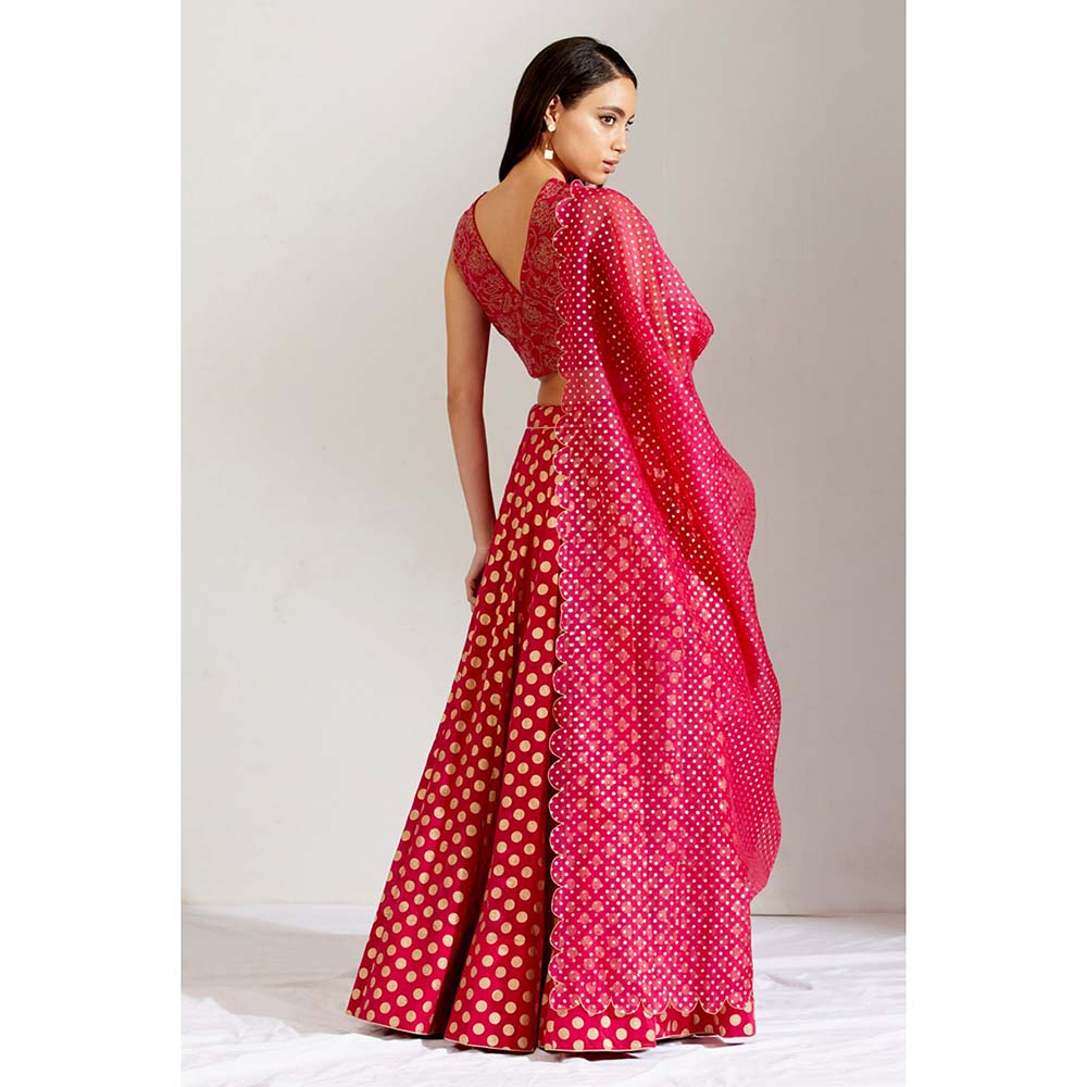 Label Earthen Women Pink Floral Lehenga with Choli & Dupatta (Set of 3)