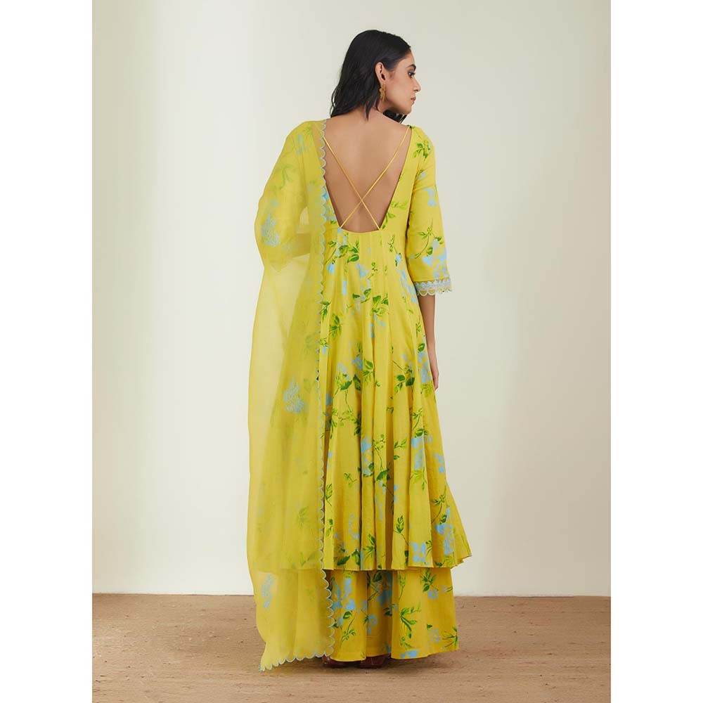 Label Earthen Women Yellow Floral Kurta with Sharara & Dupatta (Set of 3)