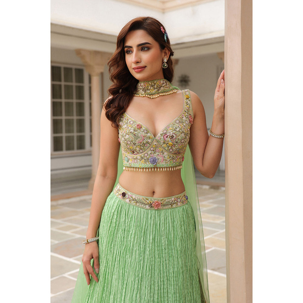 Label Niti Bothra Gulzar Embroidered Blouse with Lehenga and Dupatta (Set of 3)