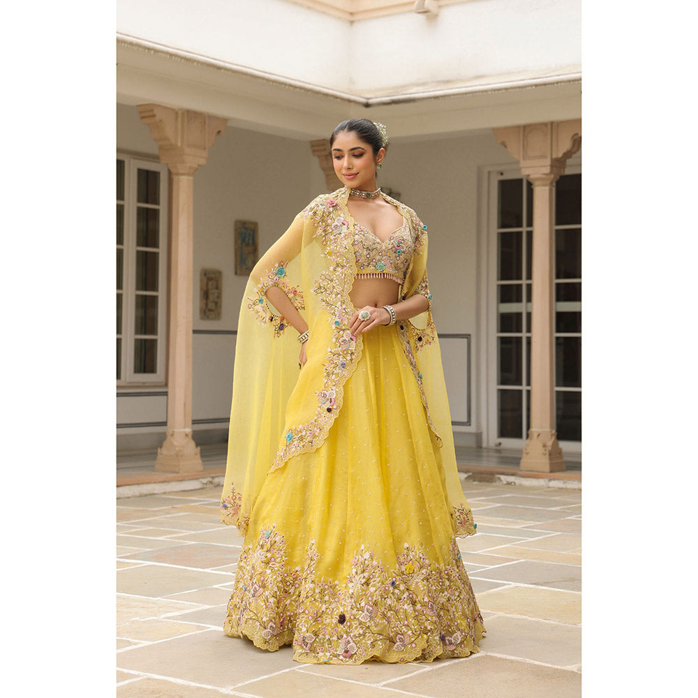 Label Niti Bothra Yellow Gulzar Embroidered Blouse with Lehenga and Cape (Set of 3)