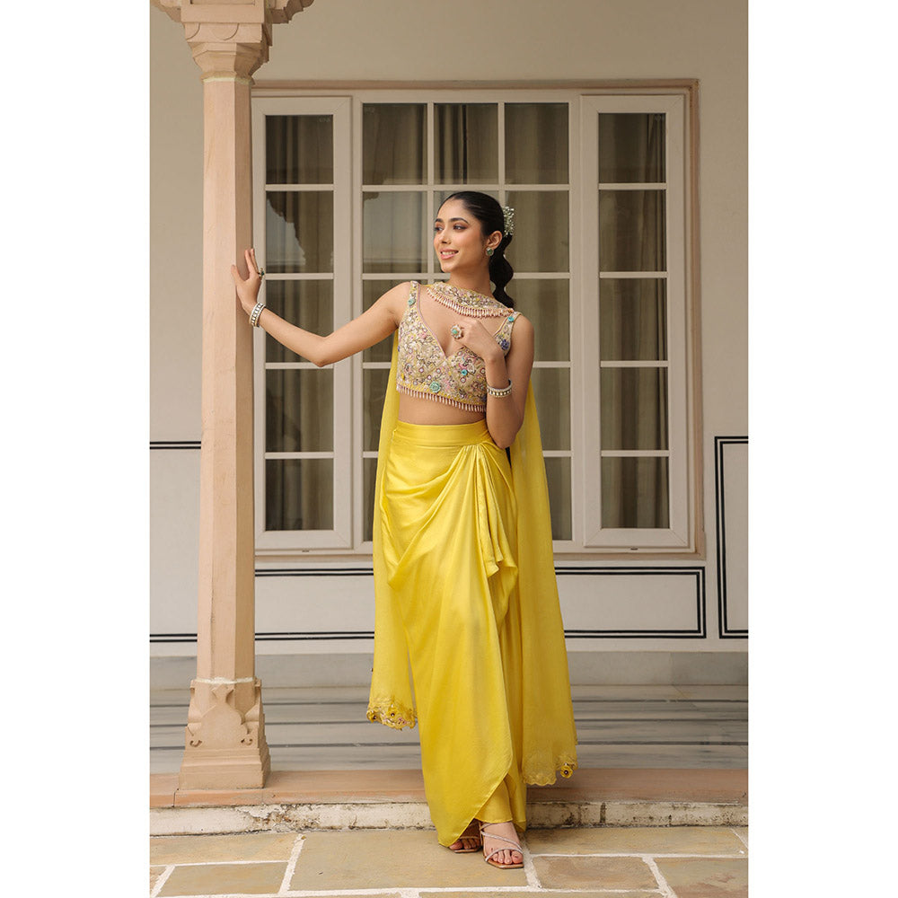 Label Niti Bothra Pink Gulzar Chocker Neck Embroidered Blouse with Skirt and Dupatta (Set of 3)