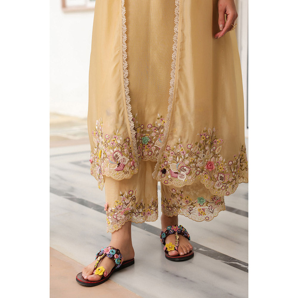 Label Niti Bothra Gulzar Heavy Jacket with Kurta and Pant (Set of 3)