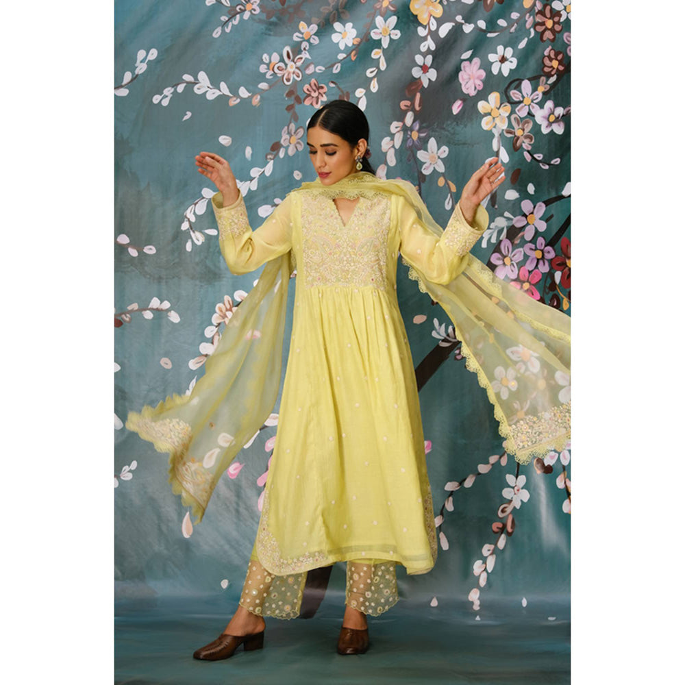 Label Niti Bothra Mint Green Dori Embroidered Frock Style Kurta With Palazzo