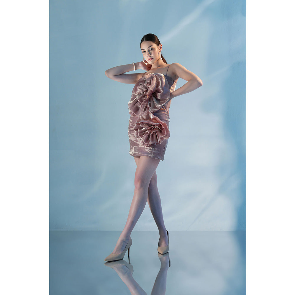 Label Iris Metallic Champagne Dress