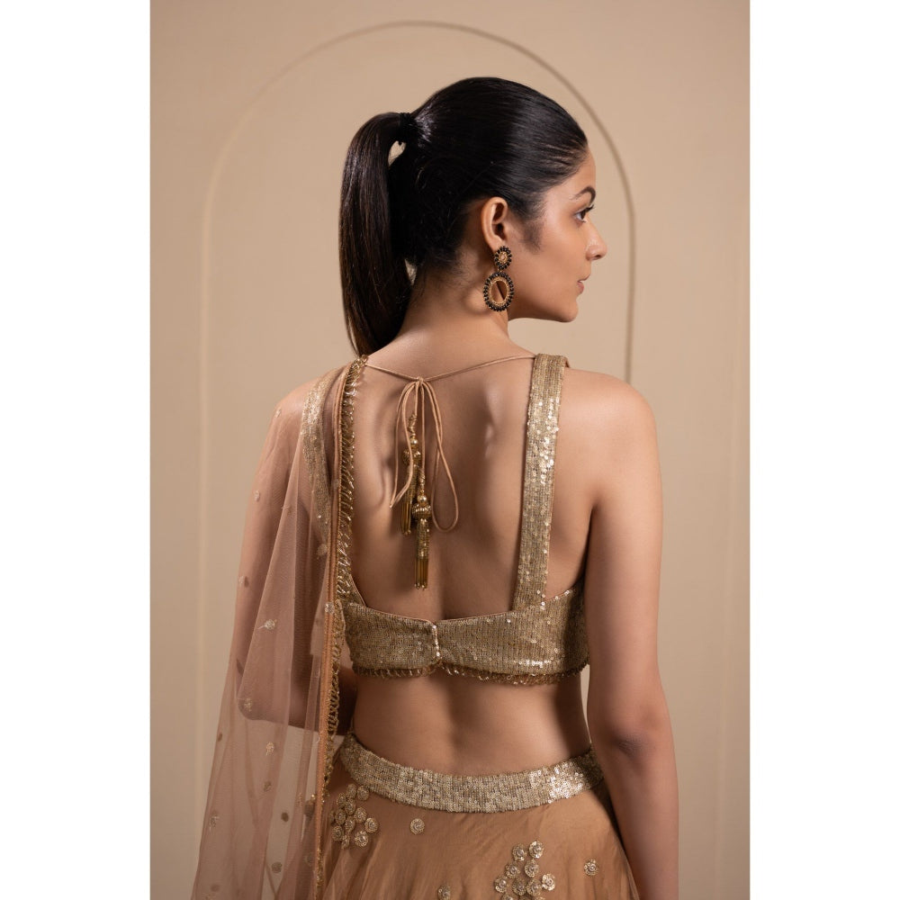LABEL TANYA CHOPRA Bronze Net Embellished Blouse and Lehenga with Dupatta (Set of 3)