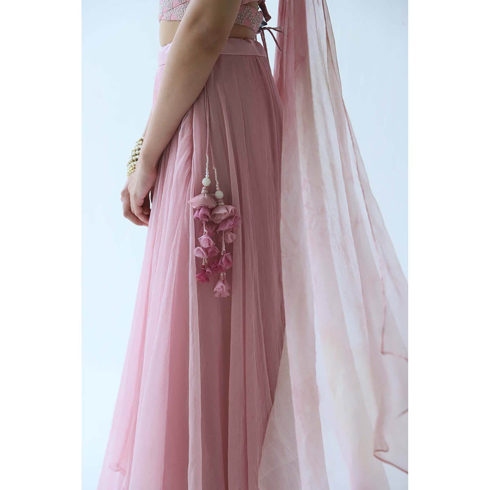 LABEL NAARITI Pink Embroidered Amara Crop Top with Lehenga (Set of 2)