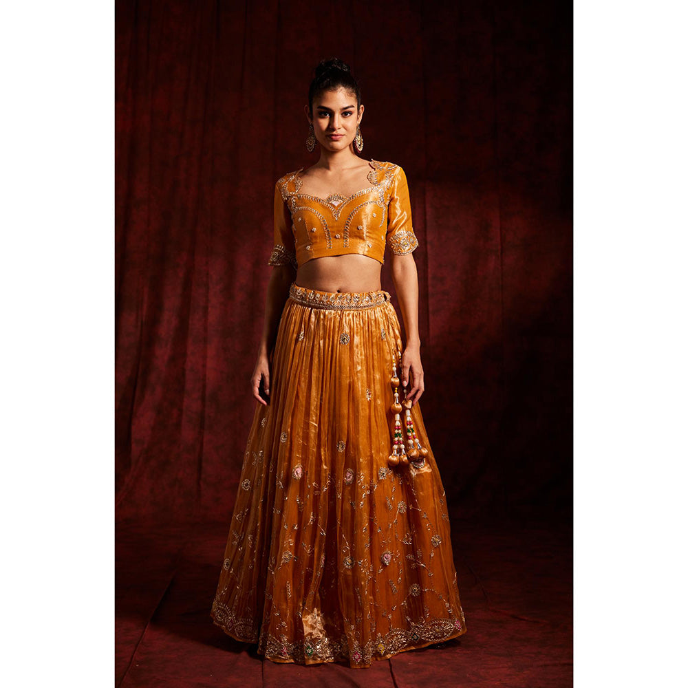 Label Gayatri Bishnoi Mustard Gota Patti Tissue Lehenga with Blouse and Dupatta (Set of 3)