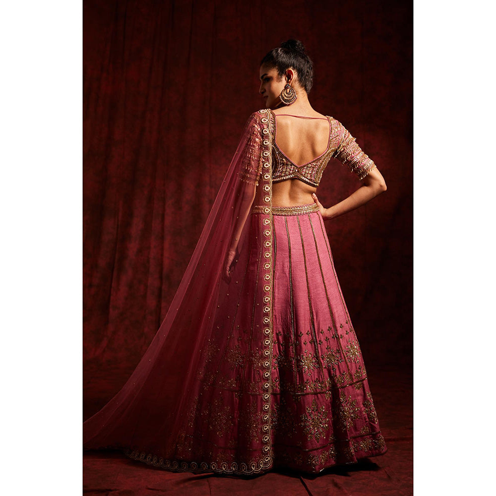 Label Gayatri Bishnoi Mauve Kashi Lehenga with Blouse and Dupatta (Set of 3)