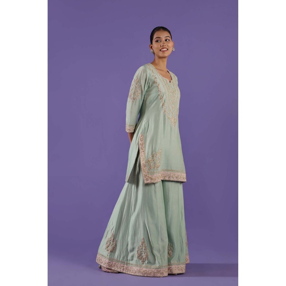 Label Radini Mrunali Sharara with Kurta and Dupatta - Blue