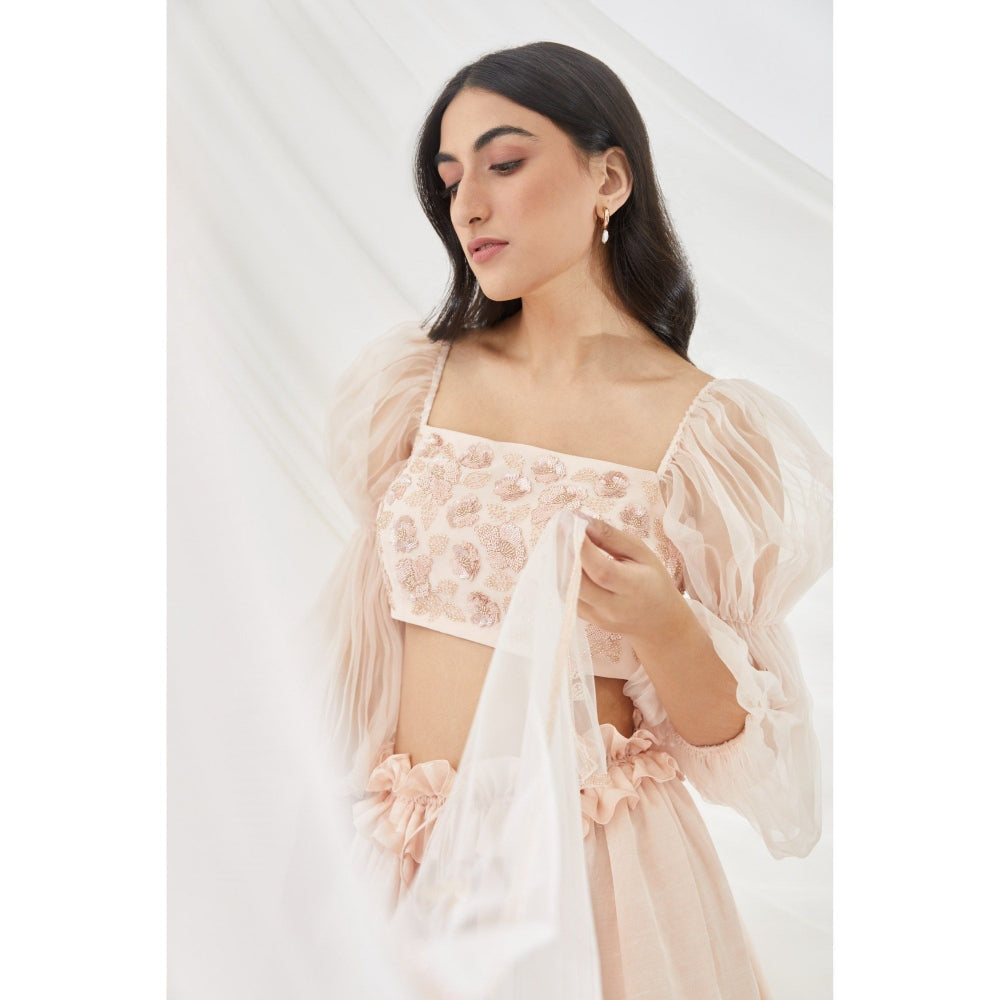 Lavanya Ahuja Blush Billow & Breeze Lehenga & Blouse with Dupatta (Set of 3)