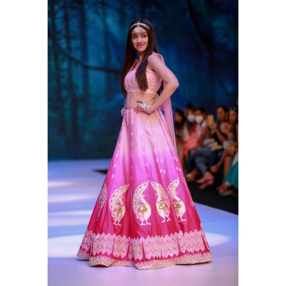 Leela by A Shaded Pink Lehenga With Choli