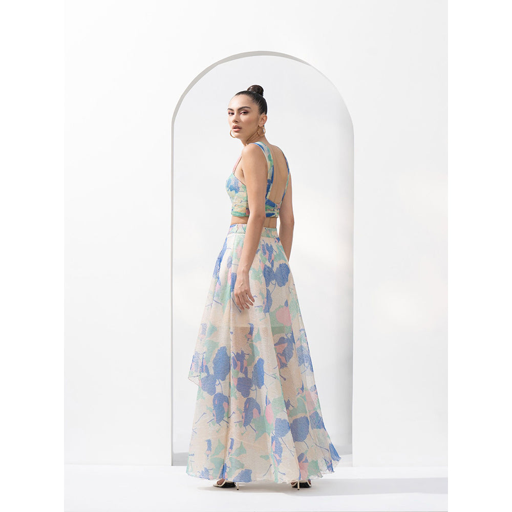 MANDIRA WIRK Mesh Lurex Co-Ord with Solid Organza Layer Under The Skirt (Set of 2)