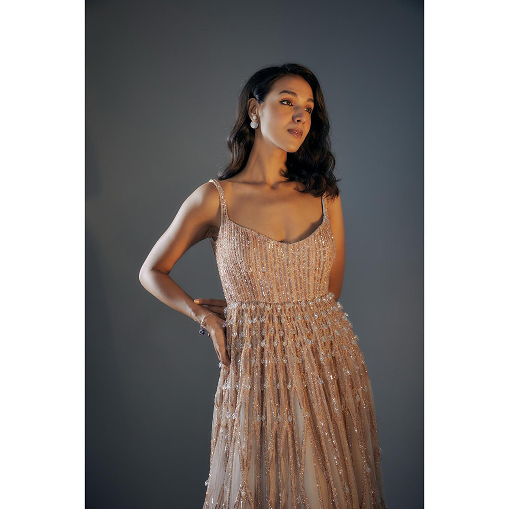 Masumi Mewawalla Grey Embroidered Gown