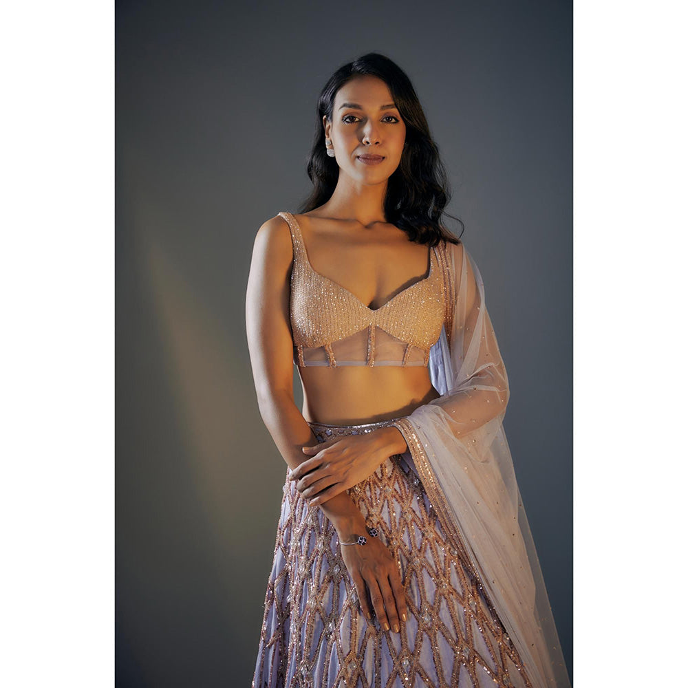 Masumi Mewawalla Ice Blue Embroidered Lehenga Set (Set of 3)