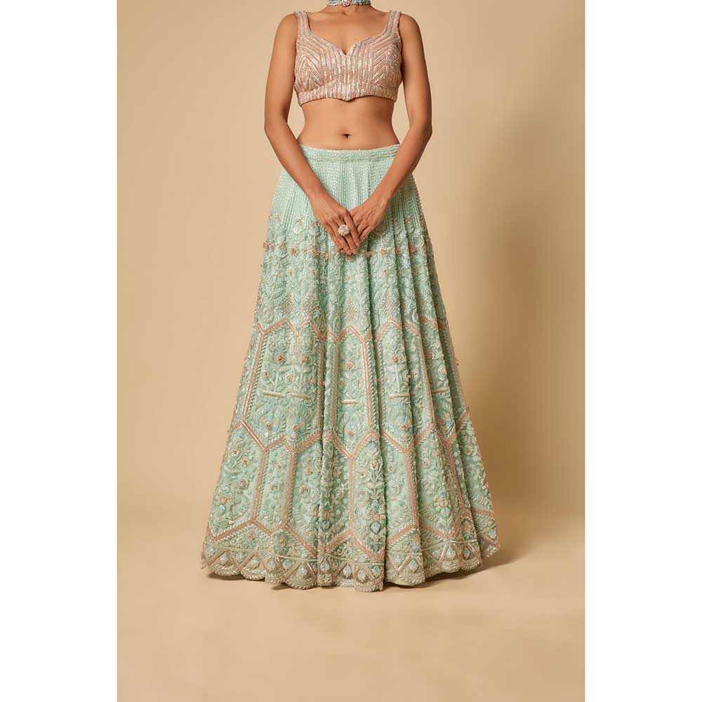 Masumi Mewawalla Embroidered Lehenga with Stitched Blouse and Two Dupatta (Set of 4)