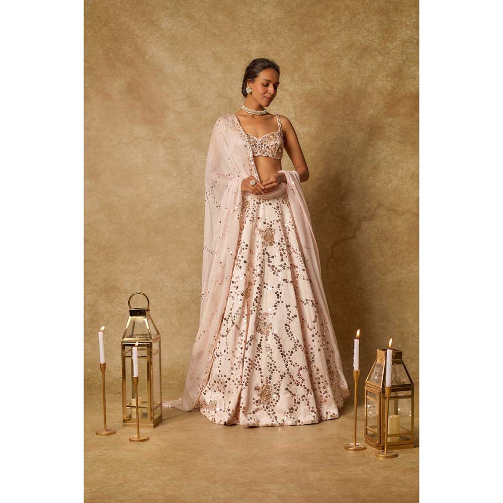 Masumi Mewawalla Sequin Embroidered Lehenga with Stitched Blouse and Dupatta (Set of 3)
