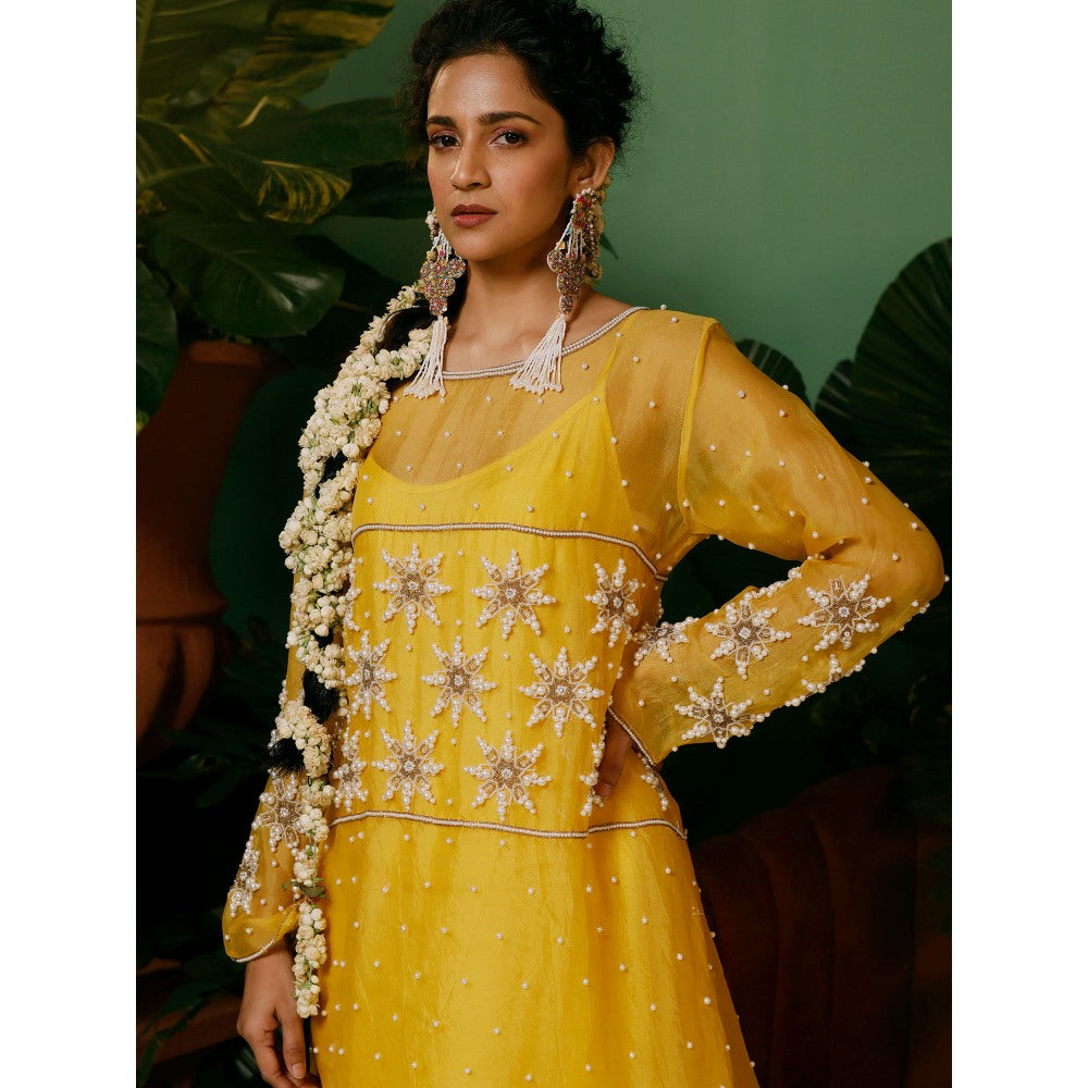 Midushi Bajoria Organza Top with Hand Pearl Embroidery Crepe Pant & Shantoon Slip (Set of 3)