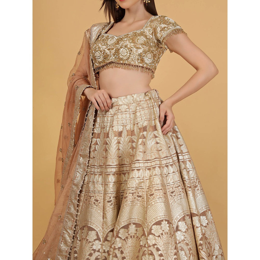 MILU MADAN Mocha Brown Sequin Cut Dana Beadwork Lehenga With Stitched Blouse And Dupatta