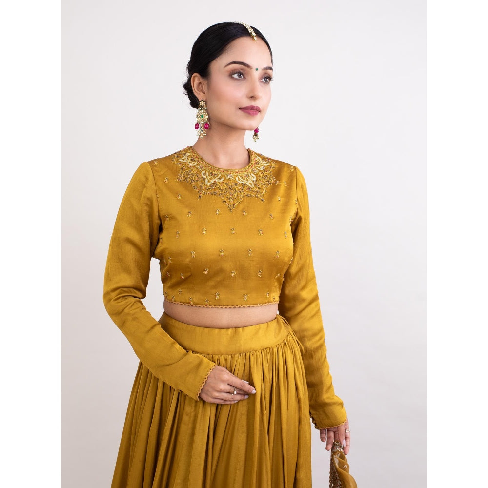 Monika Mathuria Datta Mustard Embroidered Stitched Blouse with Lehenga and Dupatta (Set of 3)