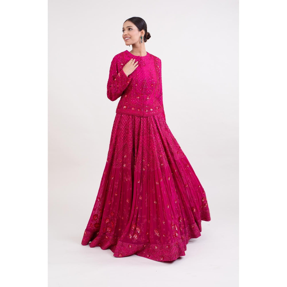 Monika Mathuria Datta Magenta Pink Embroidered Top with Skirt (Set of 2)
