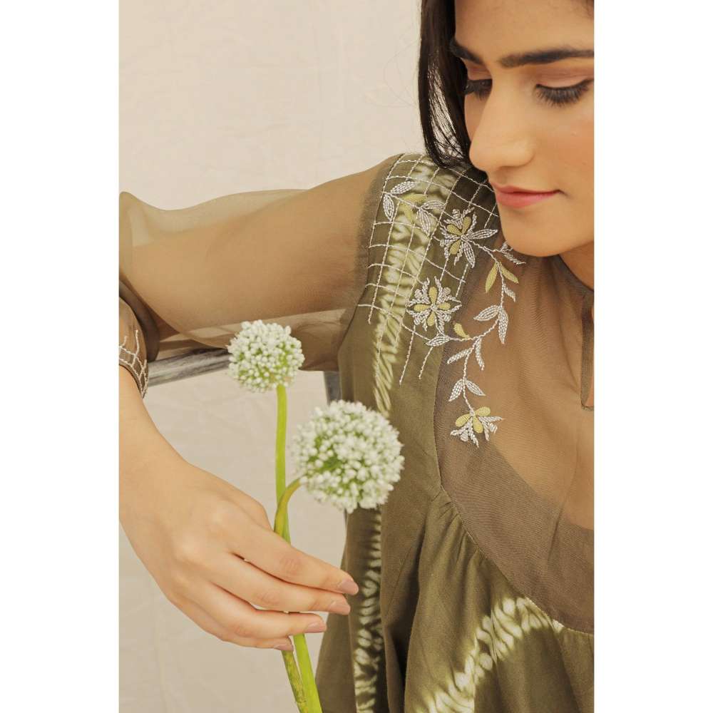 Neelu Sethi Hand Embroidered Organza Kurta and Pant (Set of 2)
