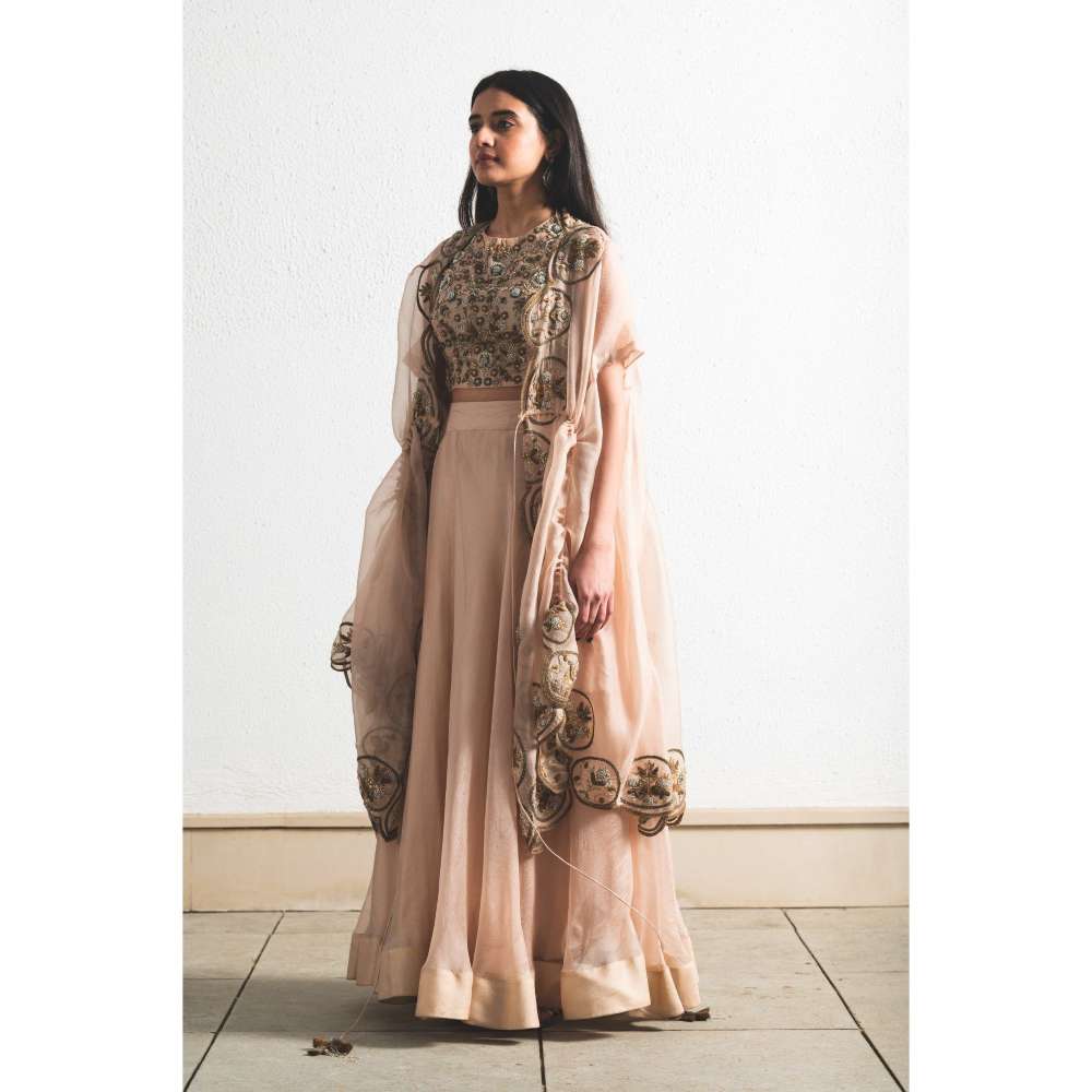 Neelu Sethi Peach Organza Lehenga and Cape With Hand Embordered Blouse (Set of 3)