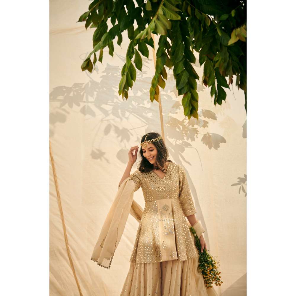 Neelu Sethi Tissue Chanderi And Hand Embroidery Peplum Top And Sharara with Dupatta (Set of 3)