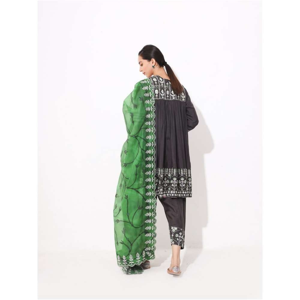 Neelu Sethi Silk Embroidered Kurta and Salwar with Organza Zari Dupatta (Set of 3)
