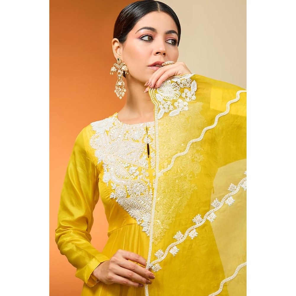Neha Khullar Yellow Silk Chanderi and Pure Silk Hand Embroidered Anarkali Set