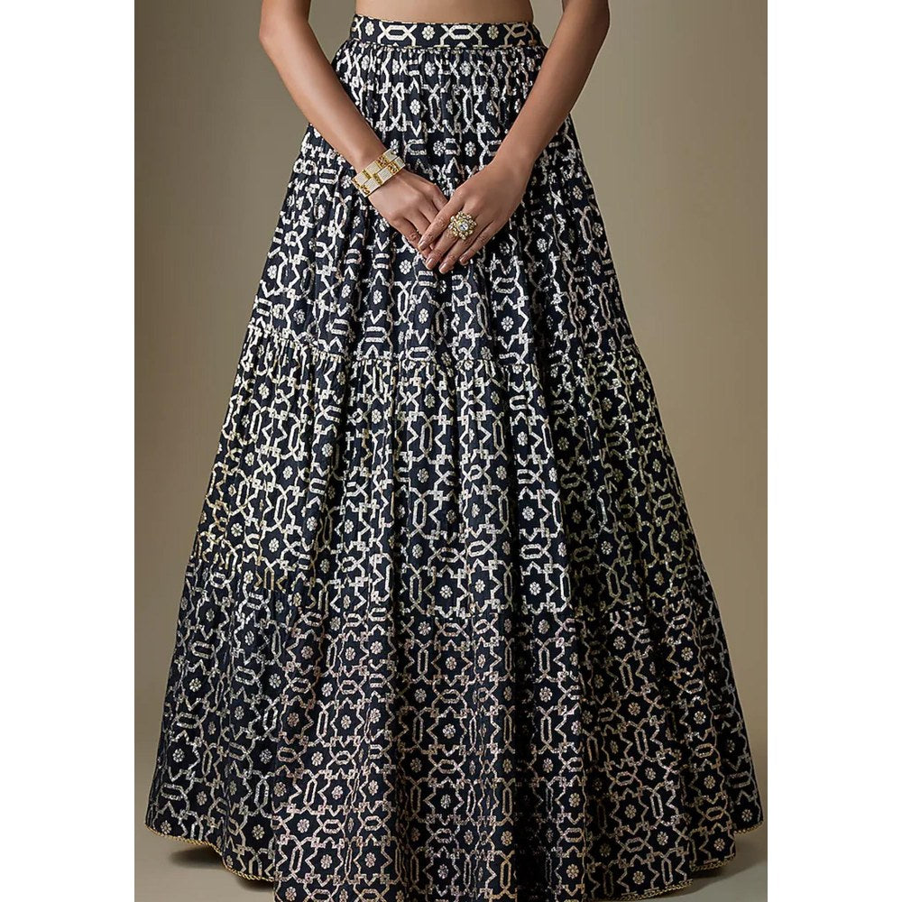 Neha Khullar Black Banarasi Printed Lehenga with Stitched Blouse and Dupatta