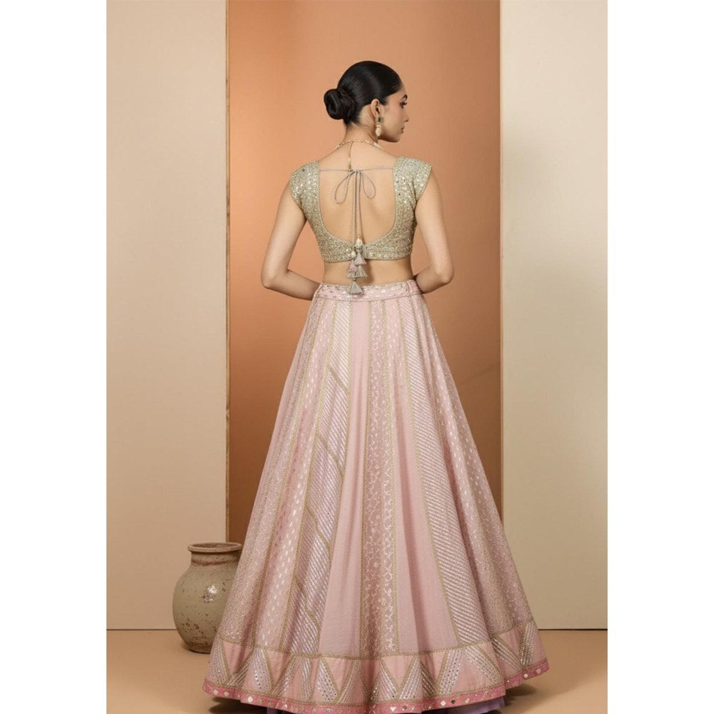 Neha Khullar Pink And Mint Green Lehenga with Stitched Blouse and Dupatta