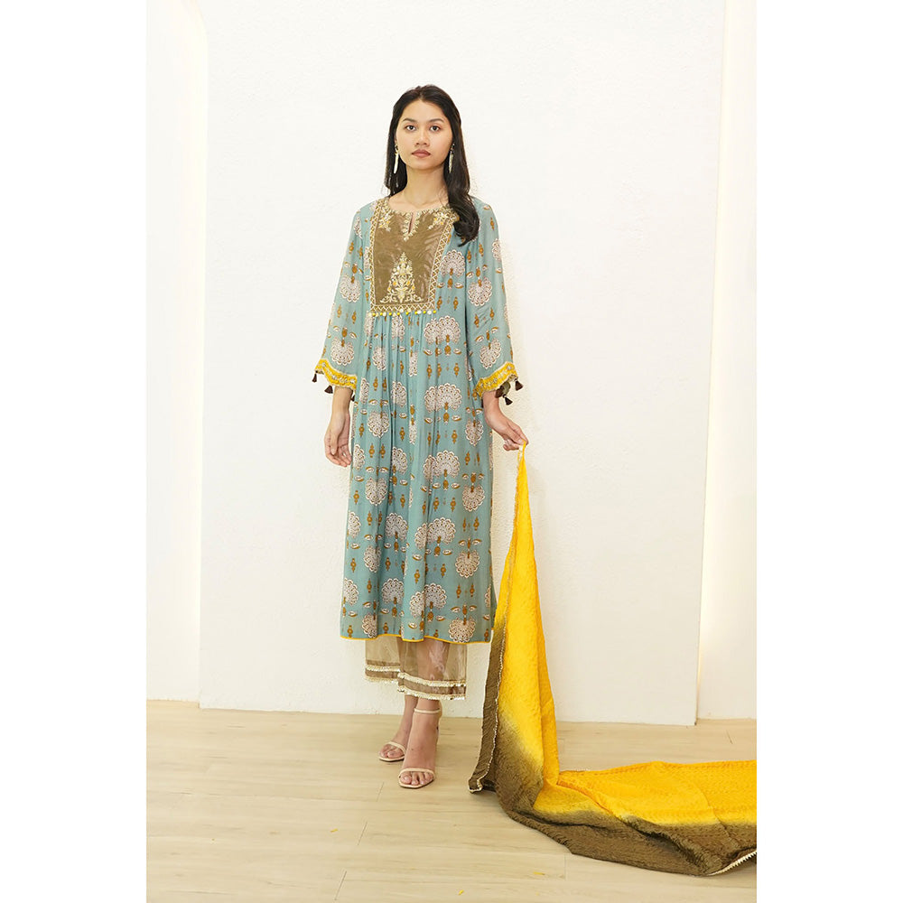 Nidhii Goyal Blue Tissue Yoke A Line Bagh Kurta with Pant and Dupatta (Set of 3)