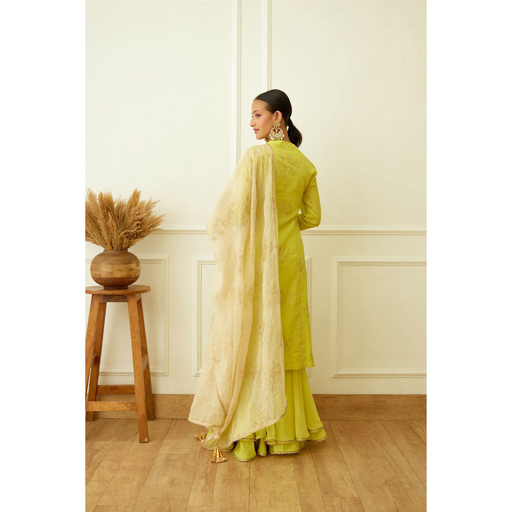 Nikasha Lime Green Foil Embroidered Sharara (Set of 3)