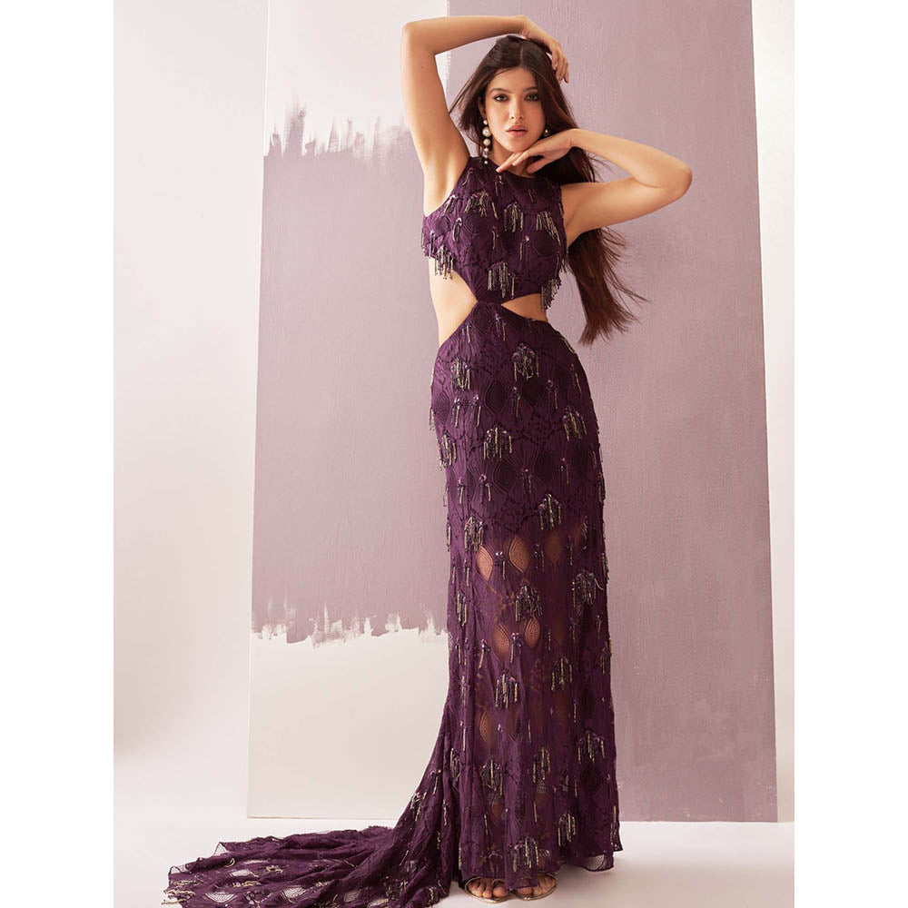 Nirmooha Deep Purple Chantilley Lace High Neck Embellished Gown with Tail