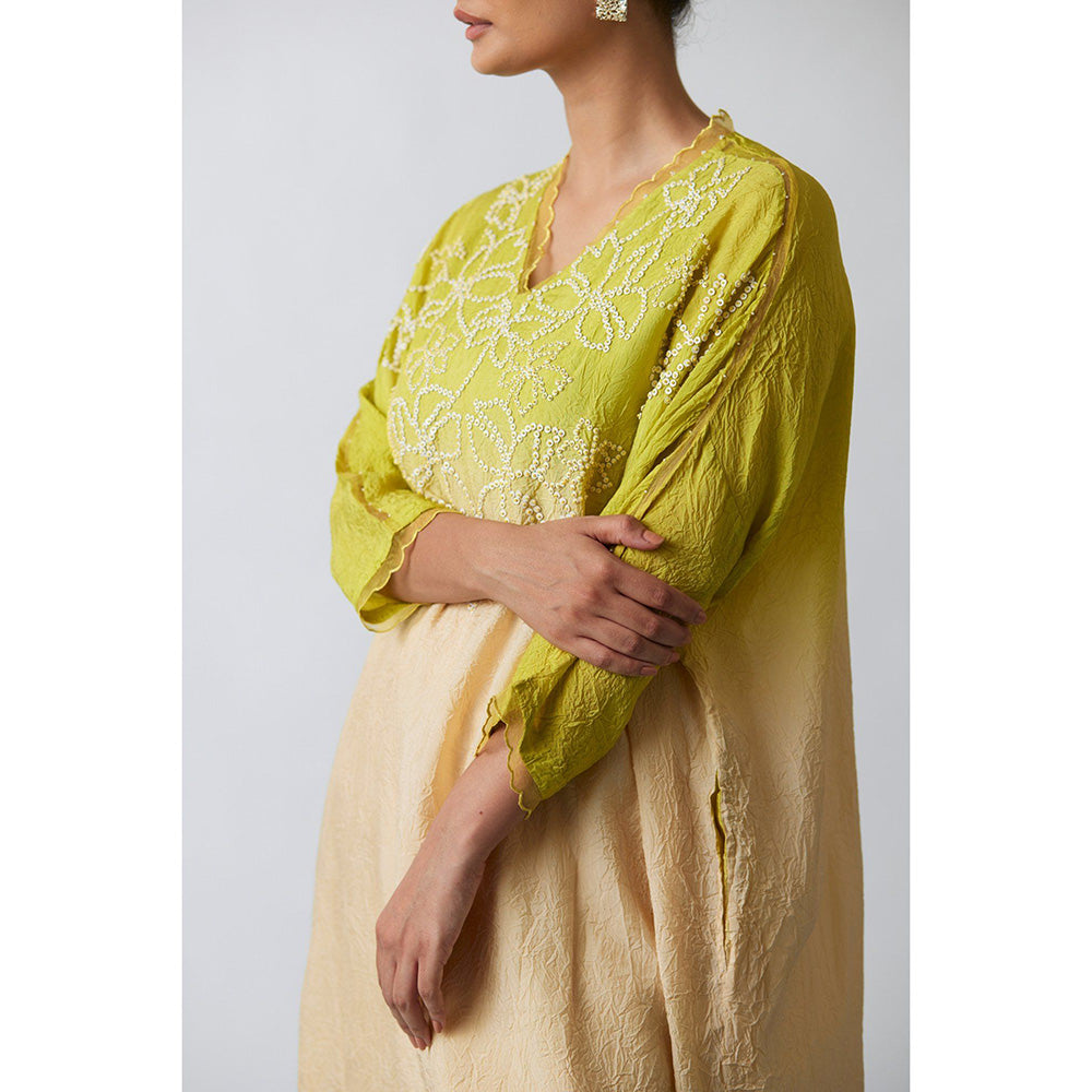 One Not Two Citrene Ombre Crushed Silk Floral Embroidered Kurta & Pant (Set of 2)