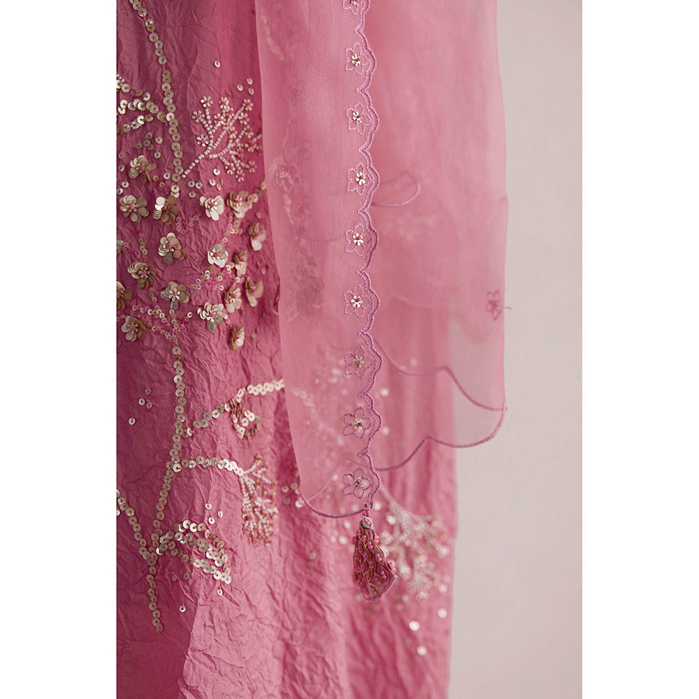 One Not Two Pink Embroidered Dupatta