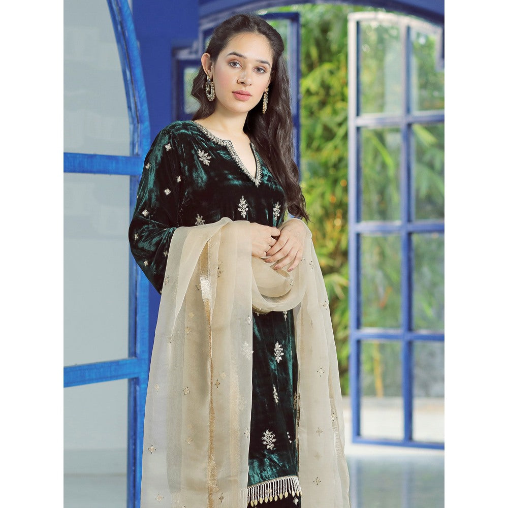 Pairaahan Naaz Velvet Embroidered Kurta (Set of 3)
