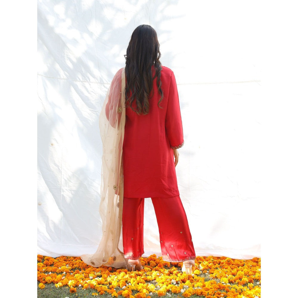 Pairaahan Niran Kurta (Set of 3)