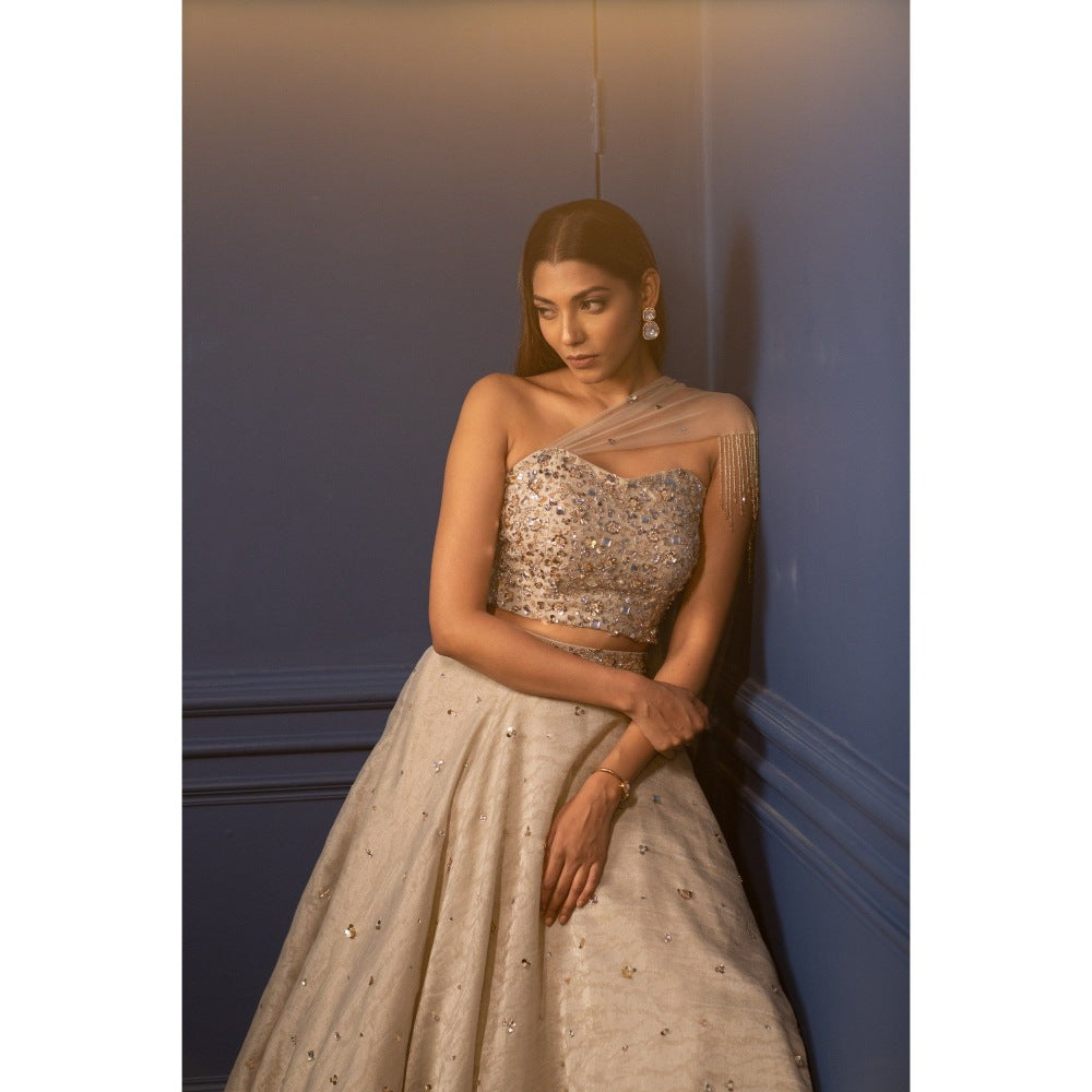 PARUL GANDHI Borage Beige Top & Lehenga (Set of 2)