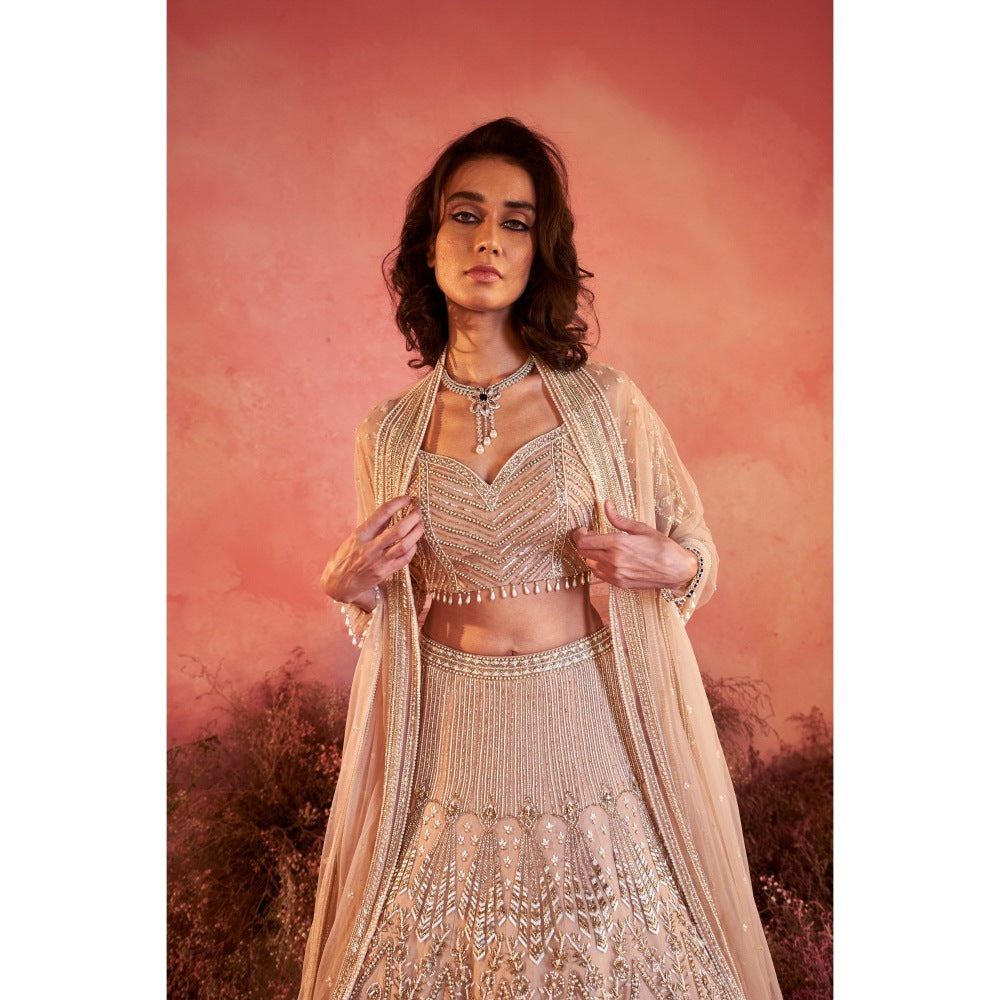 PARUL GANDHI Sanjh Nude Blosue with Lehenga & Dupatta (Set of 3)
