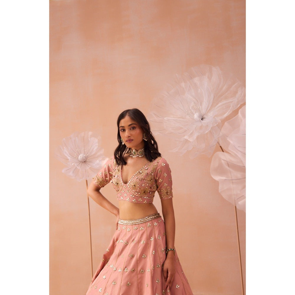 PARUL GANDHI Blush Pink Lehenga With Blouse And Dupatta (Set of 3)