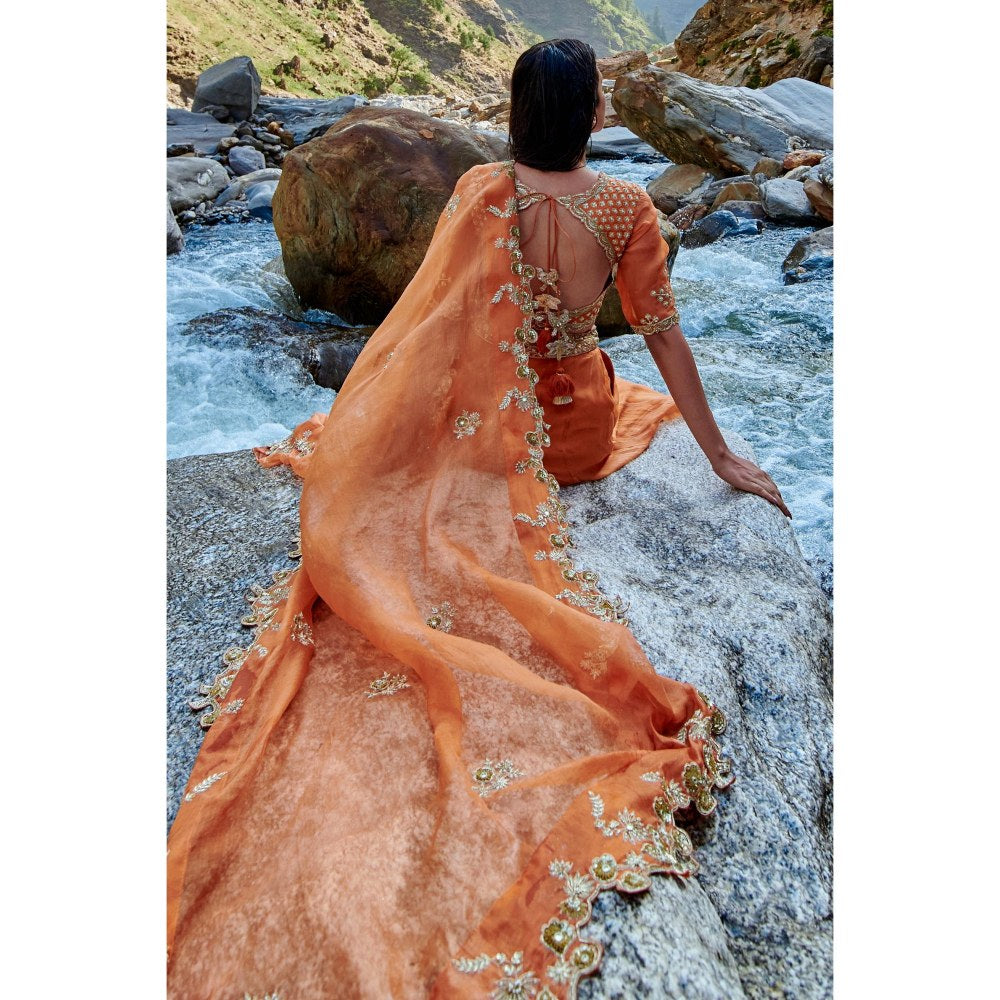 Paulmi & Harsh Nigella Orange Stitched Blouse with Lehenga and Dupatta