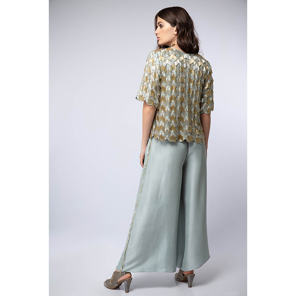 Payal Singhal Powder Blue Top with Palazzo (Set of 2)