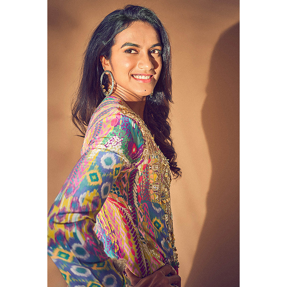 Payal Singhal Multi-Colour Embroidered Long Dress