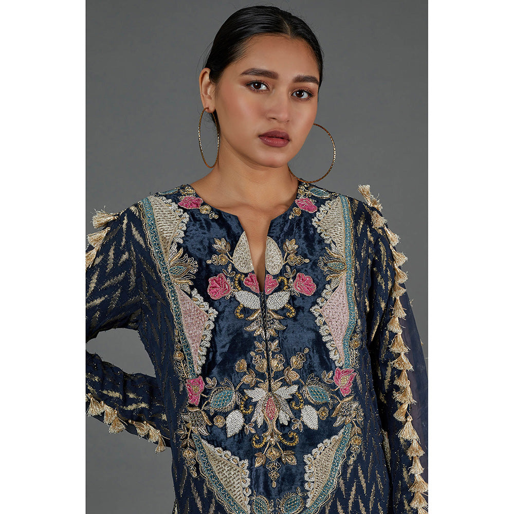 Payal Singhal Navy Blue Embroidered Yoke Dress