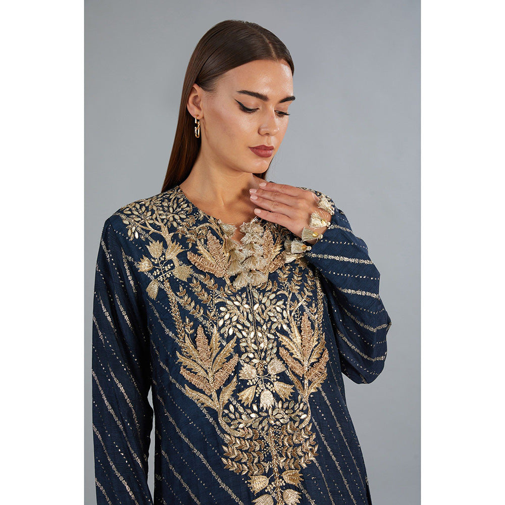 Payal Singhal Navy Blue Dola Silk Embroidered Long Beyza Kaftan Dress