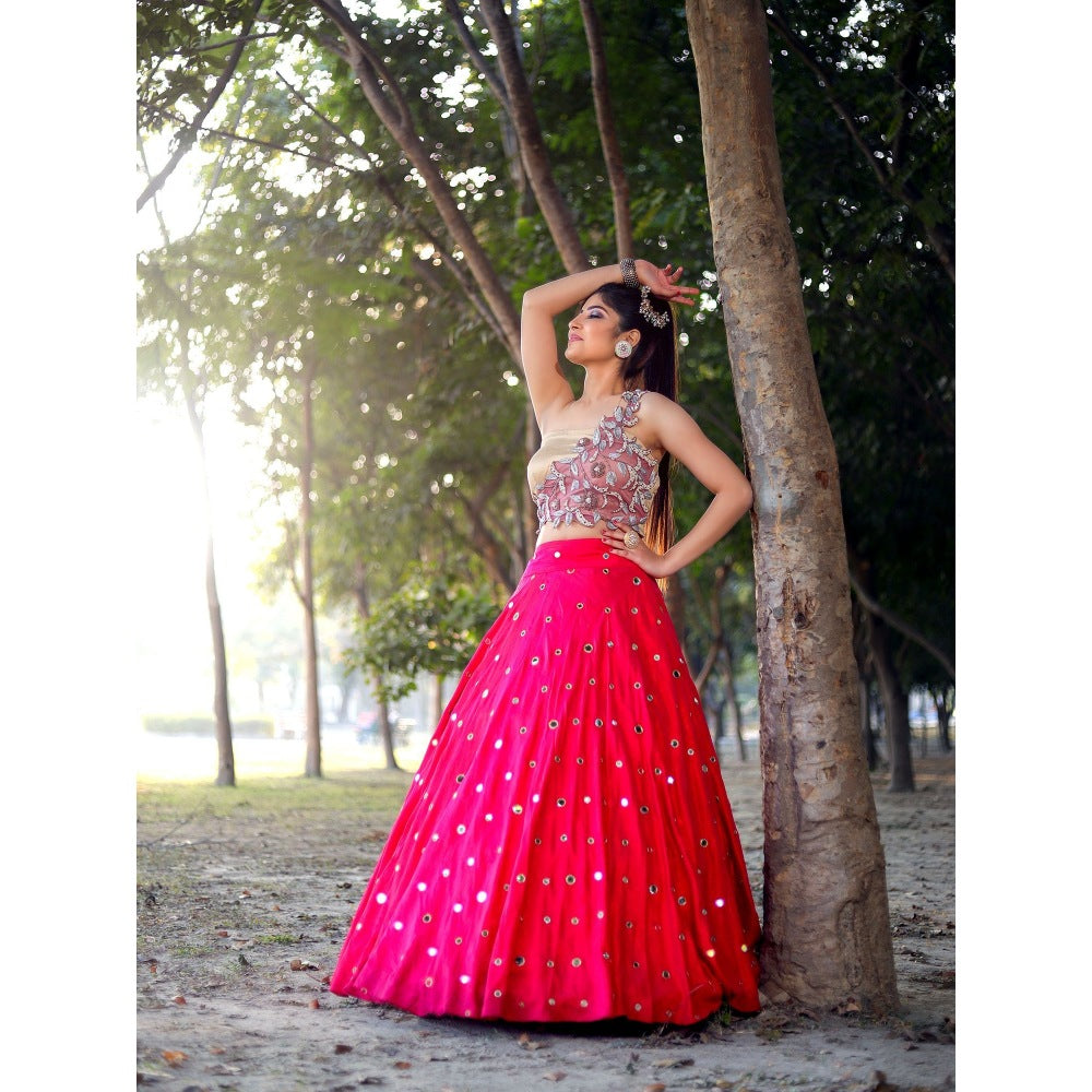 Payal Dawar Pink Ethnic Bias Crop Top with Skirt (Set of 2)